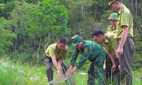  Đầu tư vào &apos;vốn&apos; tự nhiên để phát triển kinh tế xanh 第8张