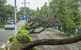 60 sinh viên Huế lên đường hỗ trợ người dân Hải Phòng khắc phục hậu quả bão Yagi