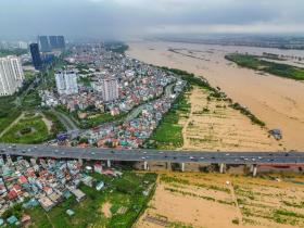 Xót xa hàng chục ngàn gốc đào ở Nhật Tân, Phú Thượng chết sau lũ  第2张