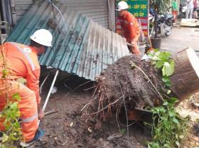 Thông tin Hà Nội cắt điện toàn thành phố vào lúc 19h tối nay 7-9 là thất thiệt