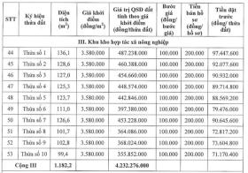  Huyện ngoại thành Hà Nội đấu giá hơn 100 lô đất 第4张