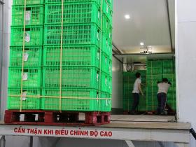 Giá rau xanh tại Hà Nội tăng từng ngày sau bão 