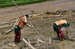 Hai cơn bão trong nửa tháng tàn phá nặng nề, thiên tai còn nhiều ‘dị thường’  第5张