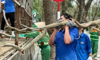  Hai học sinh lớp 8 ở TPHCM mang heo đất, tập vở san sẻ khó khăn với đồng bào vùng lũ 第10张