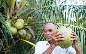 Vùng đồng bào dân tộc thiểu số ở Lâm Đồng không còn cảnh “con trâu đi trước, cái cày theo sau”