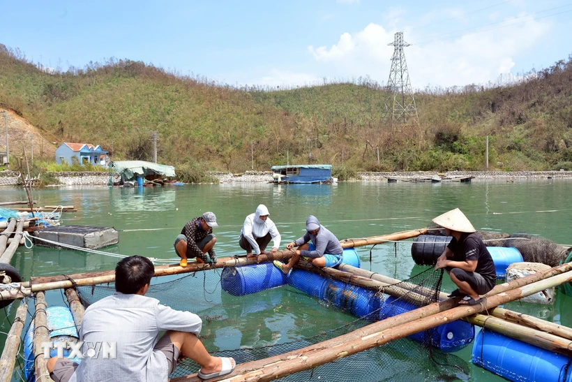  Người nuôi trồng thủy sản tại Quảng Ninh và những khoản nợ khổng lồ sau bão 