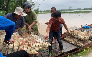 Hội Nông dân tỉnh Quảng Ninh thăm hỏi, hỗ trợ hội viên bị thiệt hại bởi bão số 3