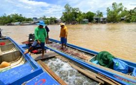 Ra ruộng lúa ở Hậu Giang &quot;chịu&quot; làm việc này, cứ xong 1 công, được trả 400.000 đồng