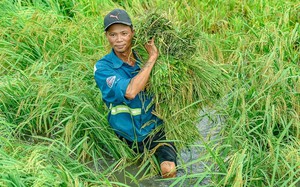 Thanh Hóa: Hơn 110.000 cán bộ, hội viên nông dân cài đặt App nền tảng số nông dân Việt Nam, đứng thứ 2 toàn quốc