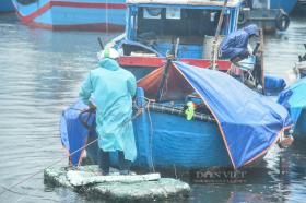 Ngư dân Đà Nẵng tấp nập đưa tàu thuyền vào bờ tránh áp thấp nhiệt đới đang mạnh lên thành bão số 4