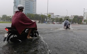 Ngư dân Đà Nẵng tấp nập đưa tàu thuyền vào bờ tránh áp thấp nhiệt đới đang mạnh lên thành bão số 4