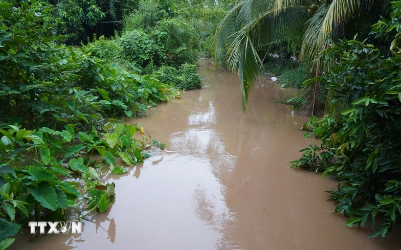  Các tỉnh, thành khu vực phía Nam chủ động các phương án ứng phó với thiên tai 