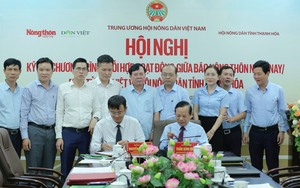 Phó Chủ tịch Hội Nông dân tỉnh được điều động làm Phó Trưởng ban Tổ chức Tỉnh ủy Bình Thuận