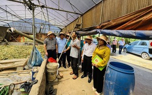 Hội Nông dân tổ chức hội thảo chuyên đề kỹ thuật về đất và dinh dưỡng cho cây trồng ở Bình Thuận