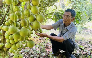 Hội Nông dân tổ chức hội thảo chuyên đề kỹ thuật về đất và dinh dưỡng cho cây trồng ở Bình Thuận