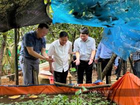 Phó Chủ tịch UBND tỉnh Hòa Bình Đinh Công Sứ khảo sát, nắm tình triển khai thực hiện Đề án 61 