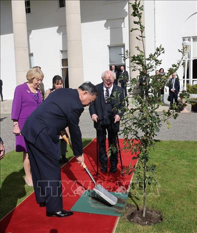 Tổng Bí thư, Chủ tịch nước trồng cây lưu niệm tại Phủ Tổng thống Ireland