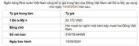 Giá USD hôm nay 14/9: Tỷ giá &quot;chợ đen&quot; chính thức mất mốc 25.000 đồng