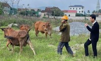  Công an hỗ trợ nhiều gia đình tìm thấy con thất lạc trong lễ khai mạc du lịch Cửa Lò 