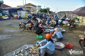 Du khách thích thú đi chợ ven biển 'săn' hải sản giá rẻ, tính tiền bằng thau