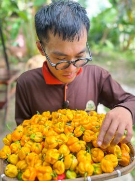 Thạc sĩ bỏ việc lương nghìn USD về quê khởi nghiệp với &quot;hơi thở của rồng&quot;  第6张