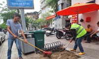  Hà Nội truy trách nhiệm đơn vị trồng cây để nguyên vỏ bầu bị gãy đổ 