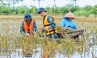  Chống ngập lụt khu vực sông Bùi, sông Tích, Hà Nội nghiên cứu bố trí lại dân cư 