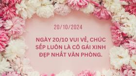 Lời chúc 20/10/2024 hay, ý nghĩa tặng sếp, đồng nghiệp, nhân viên nữ