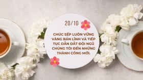 Lời chúc 20/10/2024 hay, ý nghĩa tặng sếp, đồng nghiệp, nhân viên nữ