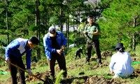  Chiến dịch &apos;góp lá vá rừng&apos;: Trồng thêm 12.000 cây cho vùng Tây Bắc 第3张