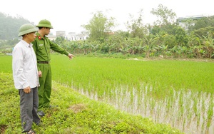 Góc nhìn pháp lý vụ giăng điện bẫy chuột bảo vệ ruộng, làm chết hàng xóm ở An Giang