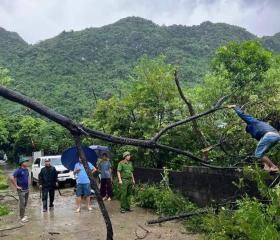 Hòa Bình cây đổ la liệt giữa đường, nhiều ngôi nhà bị hư hỏng nặng nề do bão Yagi