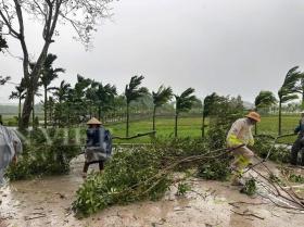 Hòa Bình cây đổ la liệt giữa đường, nhiều ngôi nhà bị hư hỏng nặng nề do bão Yagi  第13张