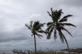  Ít nhất hai người thiệt mạng khi siêu bão Milton đổ bộ vào Florida 