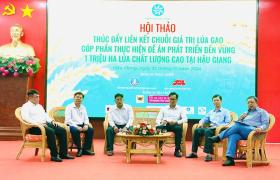 Thúc đẩy liên kết chuỗi giá trị lúa gạo, phát triển bền vững