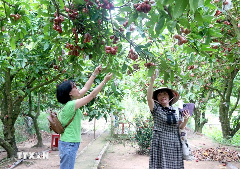  Xây dựng thương hiệu du lịch tiểu vùng duyên hải phía Đông ĐBSCL 