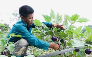 Một huyện tuyệt đẹp ở Hà Giang quyết tâm tạo dựng môi trường sống trong lành, bền vững cho người dân