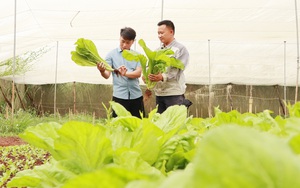 Đề xuất các ngân hàng khoanh nợ, giãn nợ cho hội viên, &quot;tiếp lực&quot; cho nông dân Thái Nguyên phục hồi sản xuất